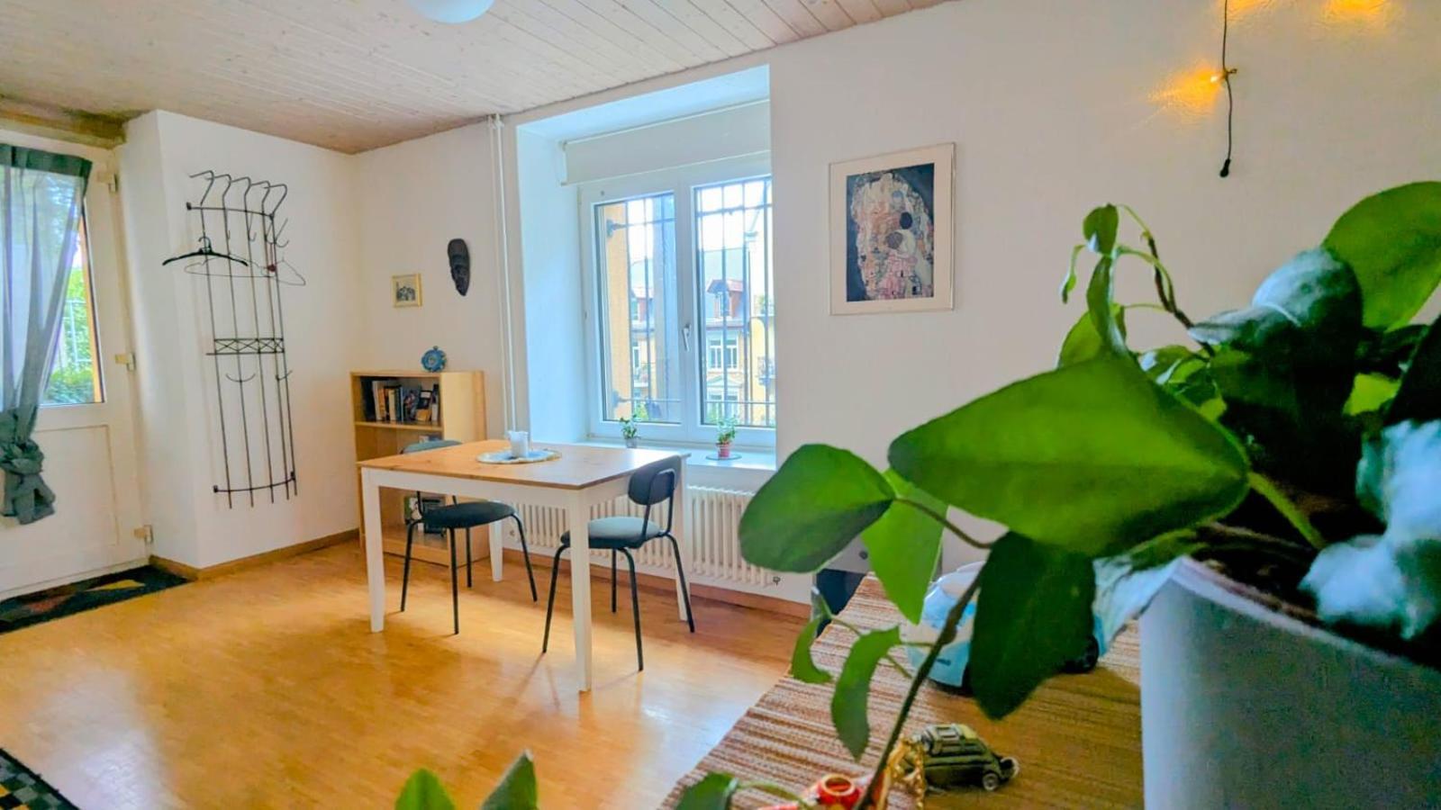 Urban Retreat - Cozy Studio With Private Patio Apartment ซูริก ภายนอก รูปภาพ
